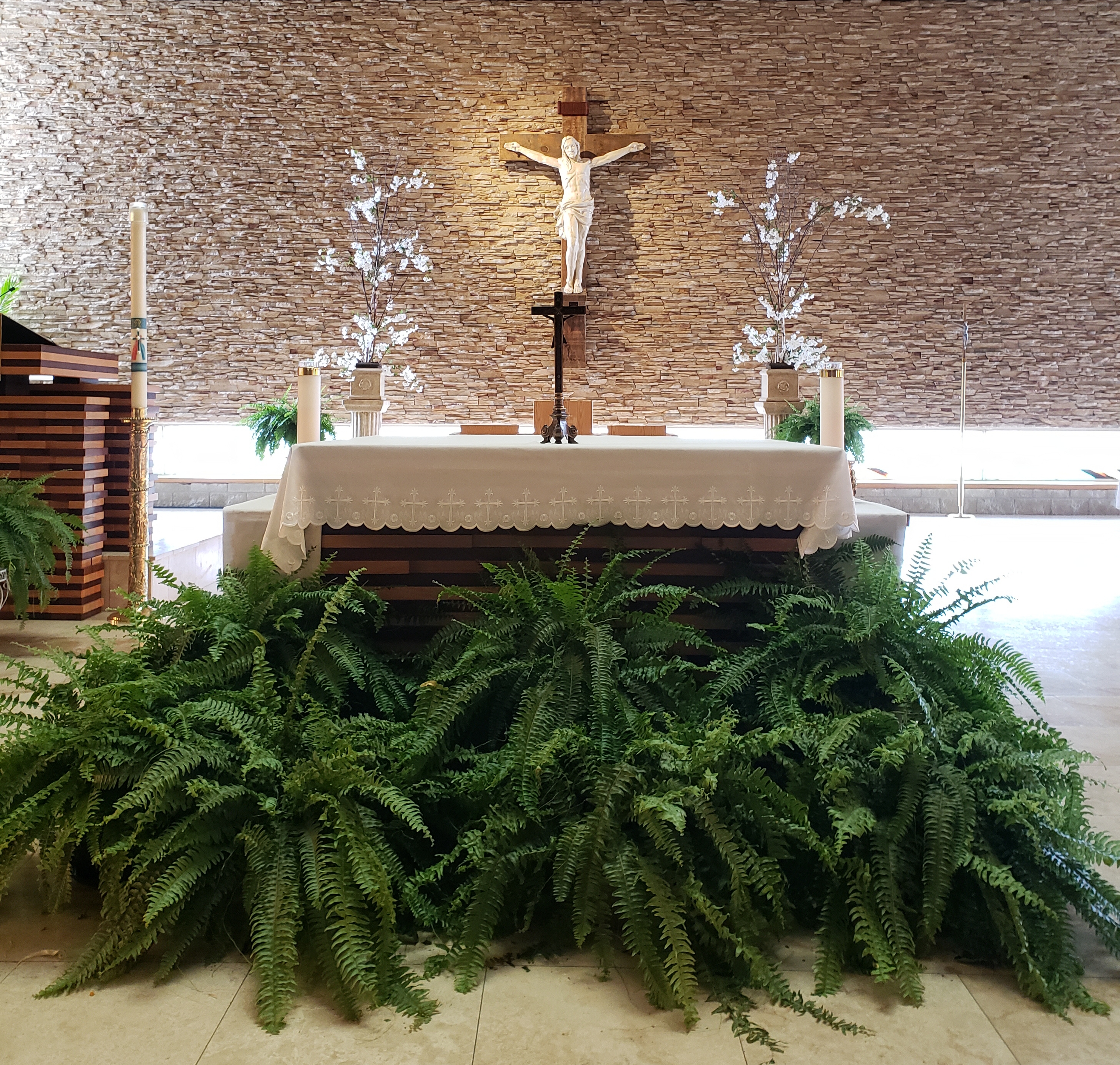 SMDY Altar Ferns